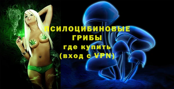 спиды Володарск