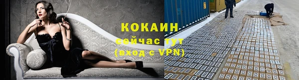 прущие крисы Волосово