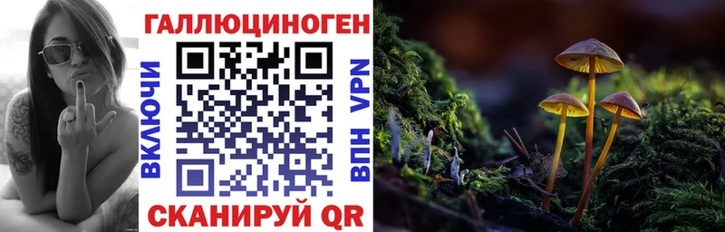 Псилоцибиновые грибы Cubensis  Барнаул 