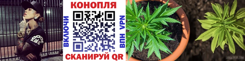 закладка  Барнаул  Каннабис тримм 